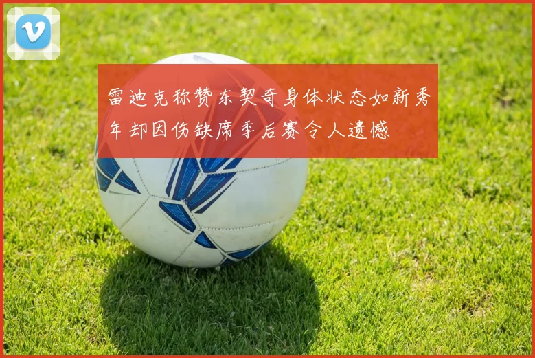 雷迪克称赞东契奇身体状态如新秀年却因伤缺席季后赛令人遗憾